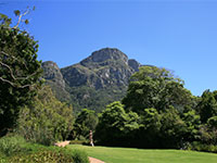 Kirstenbosch National Botanical Garden