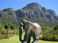 Kirstenbosch National Botanical Garden
