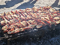 Westküste: Fischrestaurant Die Strandloper